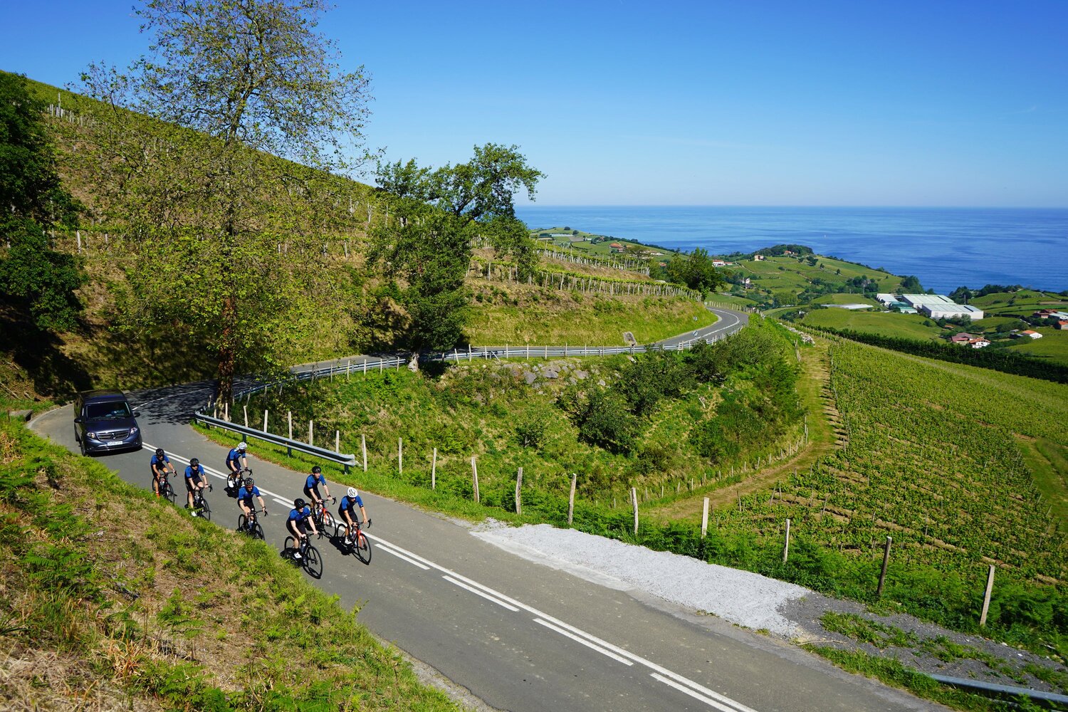 route between vineyards with the sea in the background