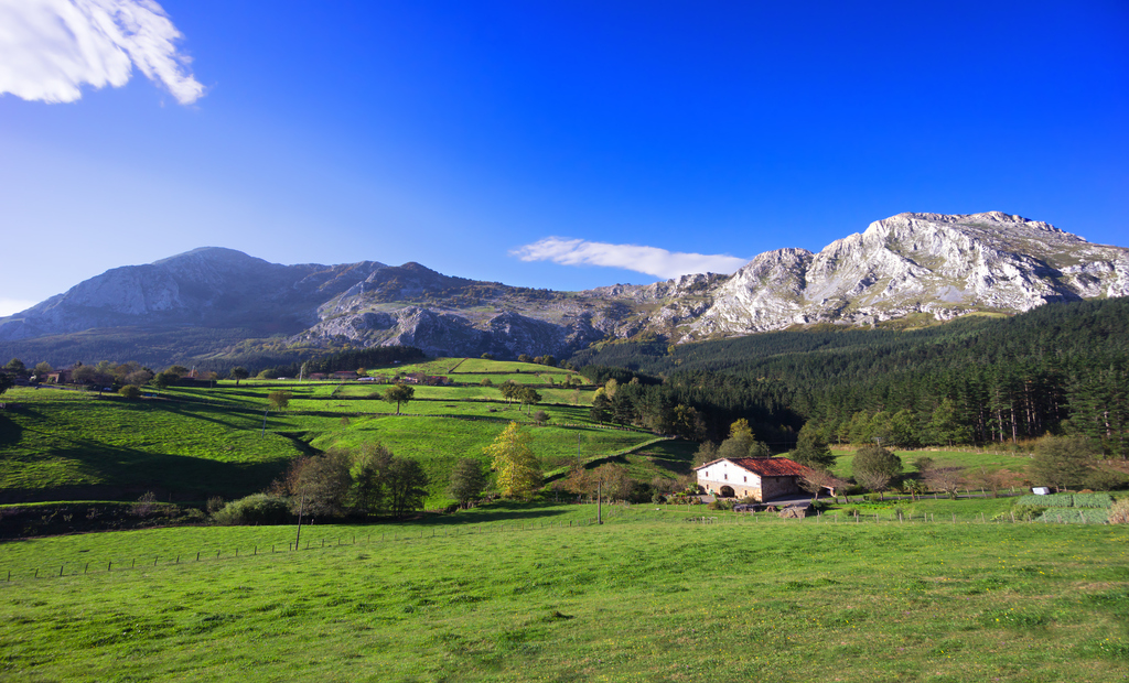 Karakteristiek groen van de bergen van Baskenland